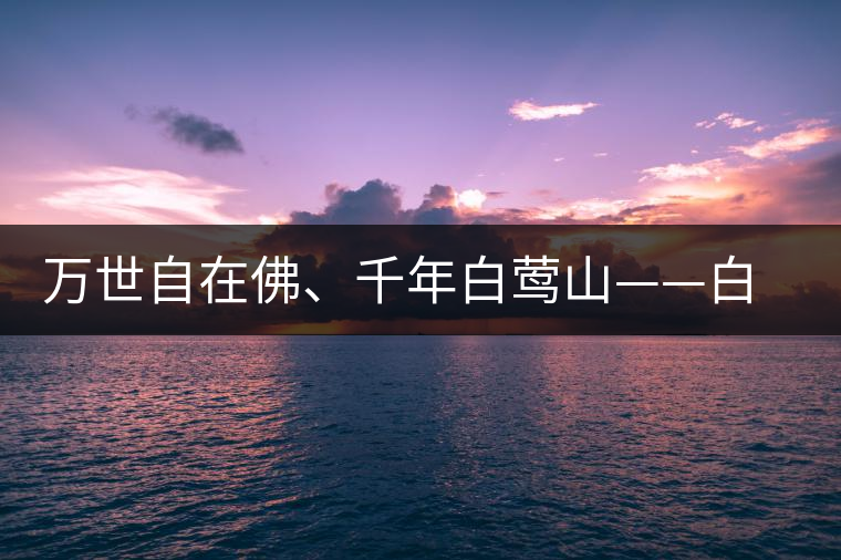 萬世自在佛、千年白鶯山——白鶯山古樹茶特點