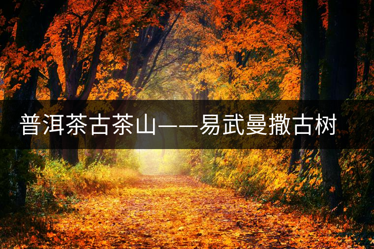 普洱茶古茶山——易武曼撒古樹(shù)茶