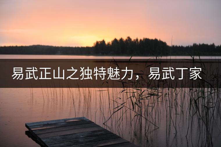 易武正山之獨(dú)特魅力，易武丁家寨介紹品鑒