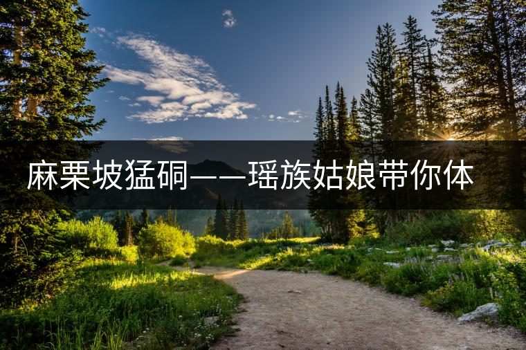 麻栗坡猛硐——瑤族姑娘帶你體驗(yàn)瑤山茶園