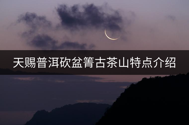 天賜普洱砍盆箐古茶山特點介紹