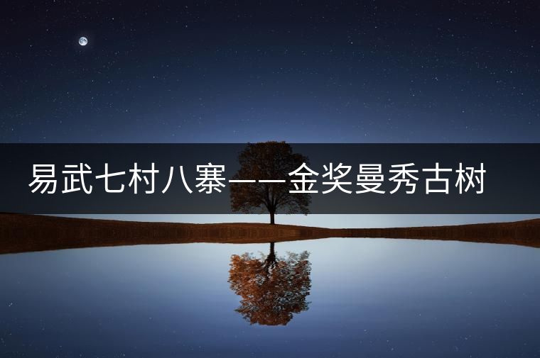 易武七村八寨——金獎(jiǎng)曼秀古樹茶 易武七村八寨——金獎(jiǎng)曼秀古樹茶