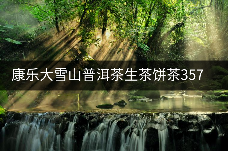 康樂(lè)大雪山普洱茶生茶餅茶357g云南臨滄古樹(shù)普洱茶茶葉生普茶青餅