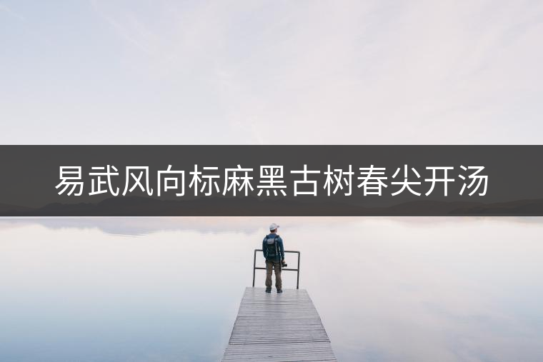 易武風(fēng)向標(biāo)麻黑古樹(shù)春尖開(kāi)湯 易武風(fēng)向標(biāo)麻黑古樹(shù)春尖開(kāi)湯