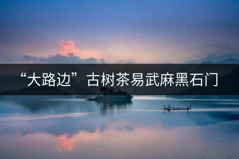 “大路邊”古樹(shù)茶易武麻黑石門坎你應(yīng)該了解的山頭