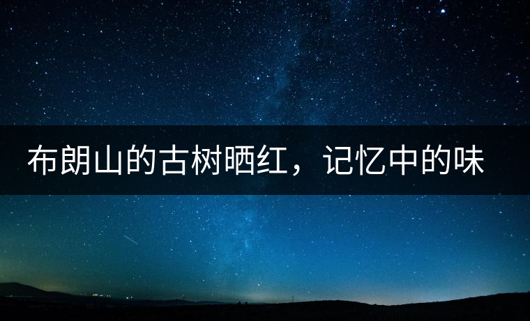 布朗山的古樹(shù)曬紅，記憶中的味道