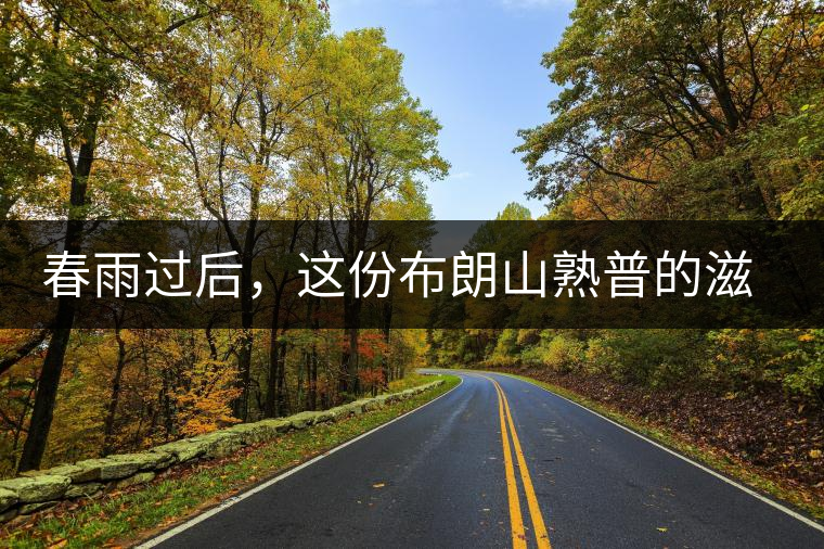 春雨過后，這份布朗山熟普的滋味正當時