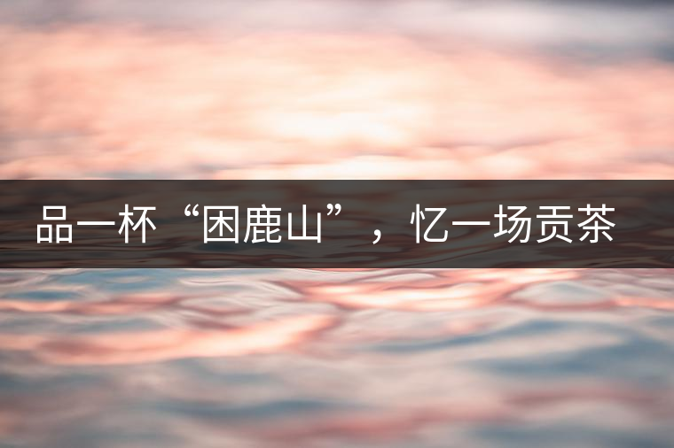 品一杯“困鹿山”，憶一場(chǎng)貢茶情