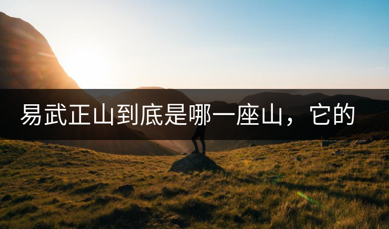 易武正山到底是哪一座山，它的含義你了解嗎？