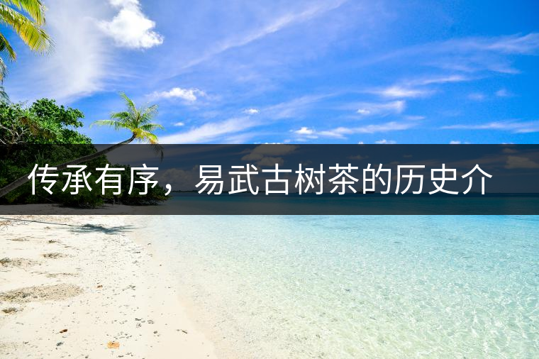 傳承有序，易武古樹茶的歷史介紹