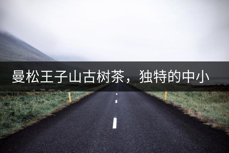 曼松王子山古樹茶，獨特的中小葉種珍品貢茶