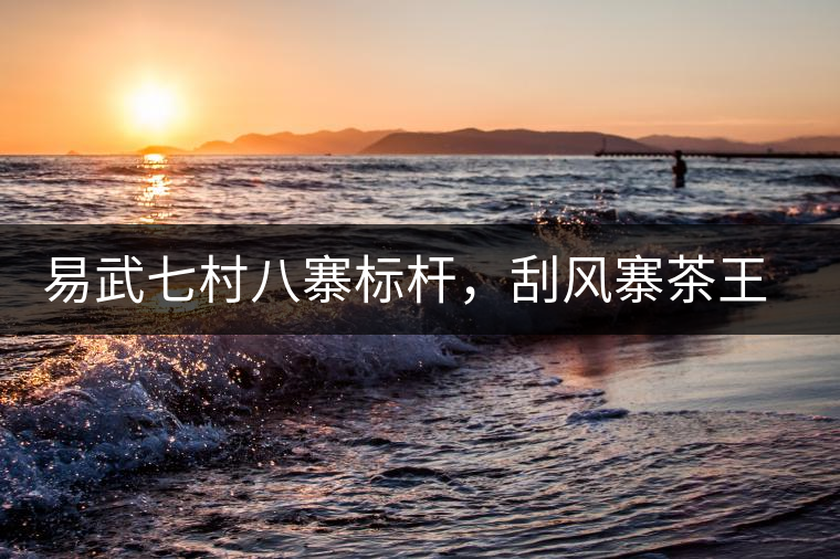 易武七村八寨標(biāo)桿，刮風(fēng)寨茶王樹(shù)介紹