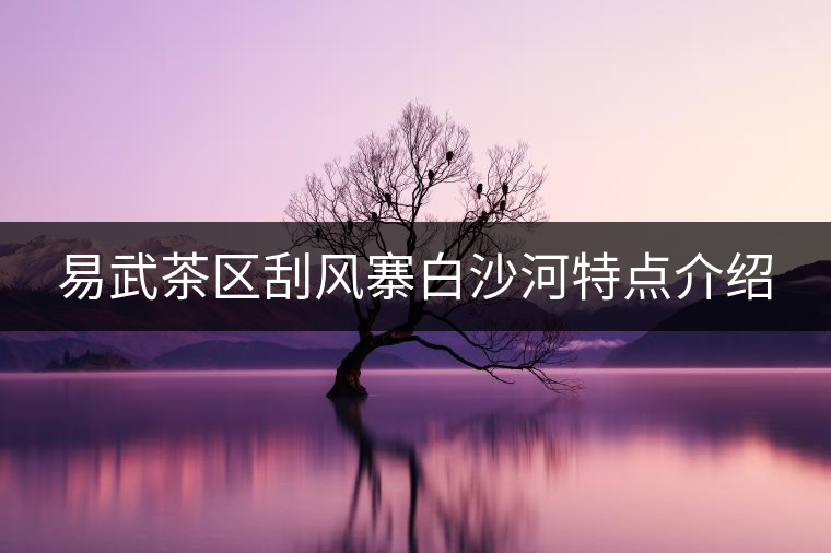易武茶區(qū)刮風(fēng)寨白沙河特點(diǎn)介紹