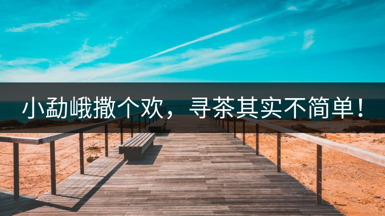 小勐峨撒個(gè)歡，尋茶其實(shí)不簡(jiǎn)單！