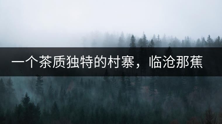 一個(gè)茶質(zhì)獨(dú)特的村寨，臨滄那蕉古樹茶介紹