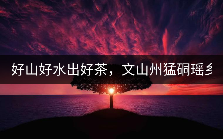 好山好水出好茶，文山州猛硐瑤鄉(xiāng)茶！