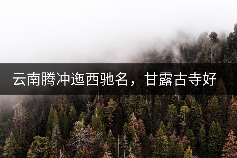 云南騰沖迤西馳名，甘露古寺好茶