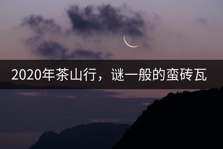 2020年茶山行，謎一般的蠻磚瓦竜古茶山