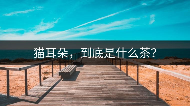 貓耳朵，到底是什么茶？