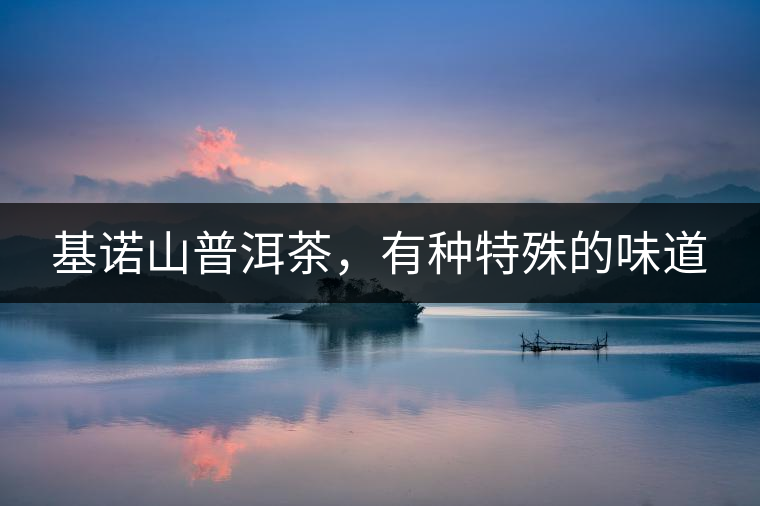 基諾山普洱茶，有種特殊的味道