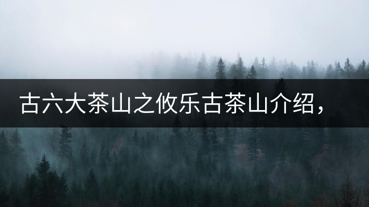 古六大茶山之攸樂古茶山介紹，攸樂古樹茶口感特點