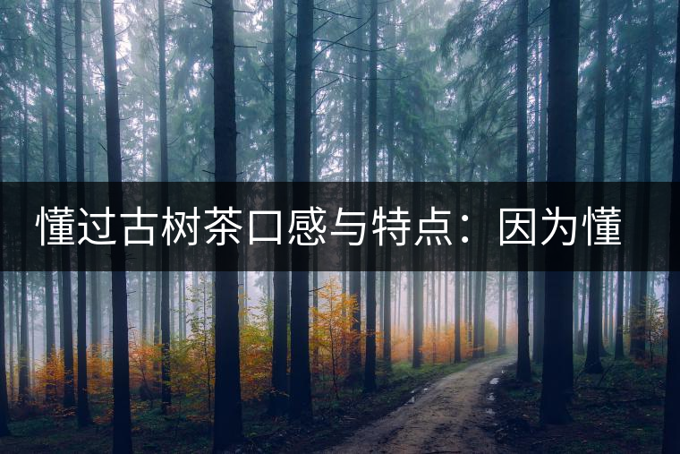 懂過古樹茶口感與特點：因為懂得，所以舍得用余生來珍惜！