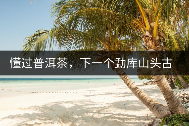 懂過普洱茶，下一個勐庫山頭古純的引爆點