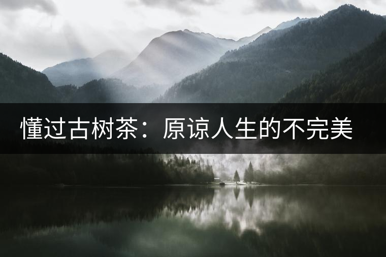 懂過(guò)古樹(shù)茶：原諒人生的不完美，多一次心靈的回歸！