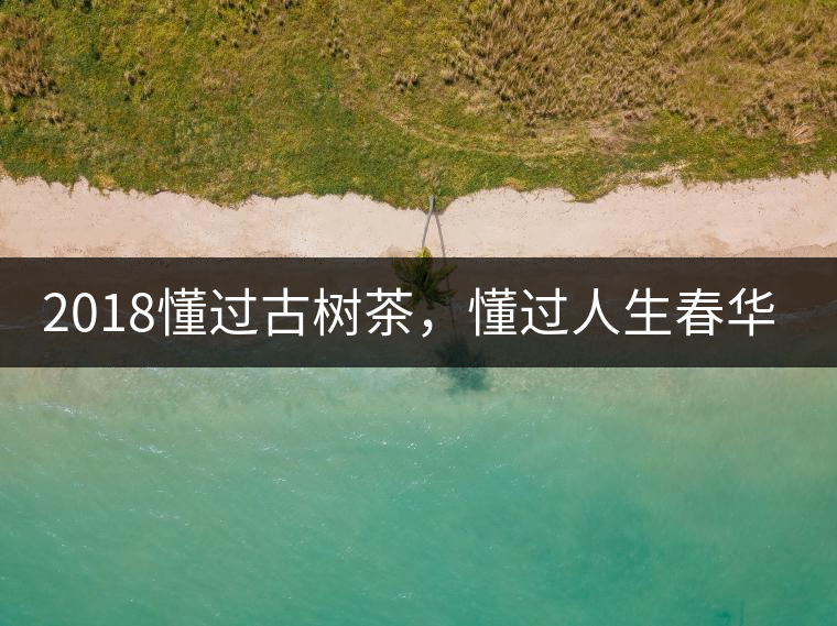 2018懂過古樹茶，懂過人生春華秋實(shí)！