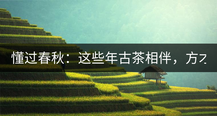 懂過春秋：這些年古茶相伴，方才懂過！