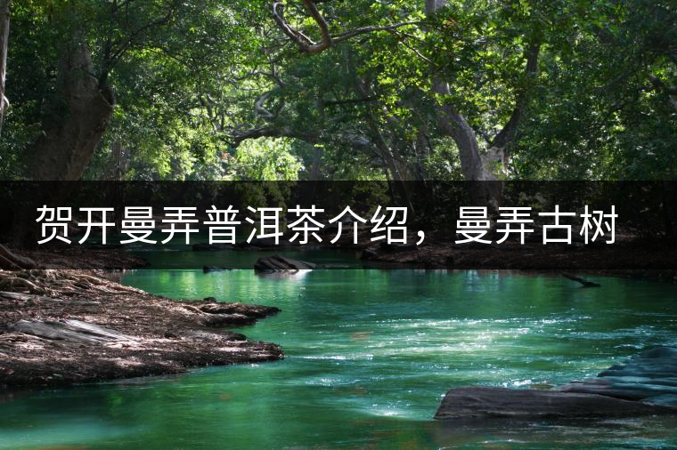 賀開曼弄普洱茶介紹，曼弄古樹茶口感特點