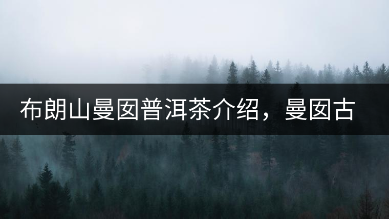 布朗山曼囡普洱茶介紹，曼囡古樹(shù)茶口感特點(diǎn)