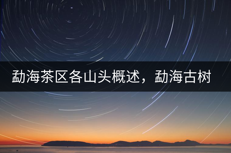 勐海茶區(qū)各山頭概述，勐海古樹茶口感特點