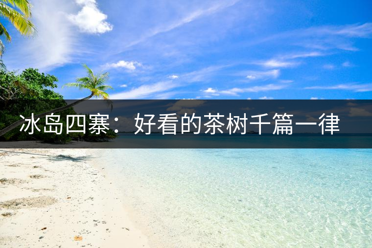 冰島四寨：好看的茶樹千篇一律，有趣的風(fēng)景萬里