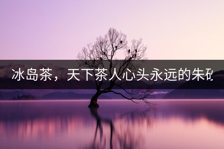 冰島茶，天下茶人心頭永遠(yuǎn)的朱砂痣！