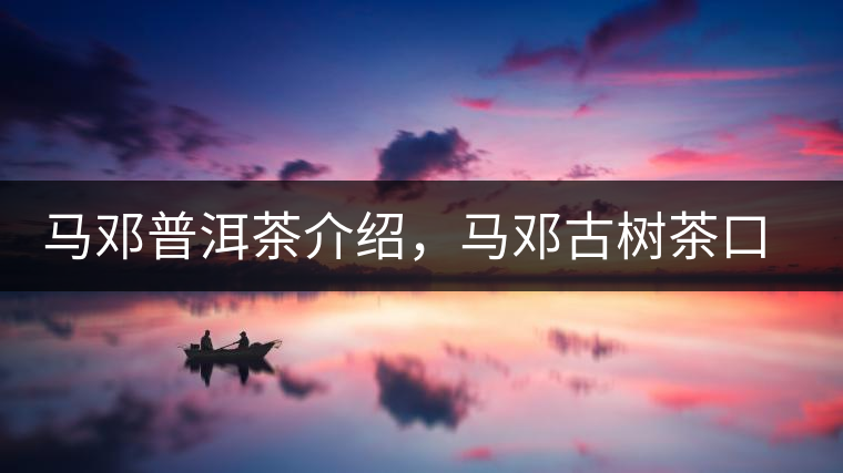 馬鄧普洱茶介紹，馬鄧古樹茶口感特點