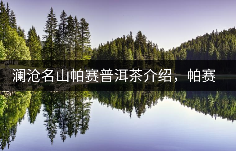 瀾滄名山帕賽普洱茶介紹，帕賽古樹茶口感特點