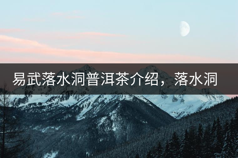 易武落水洞普洱茶介紹，落水洞古樹茶口感特點(diǎn)