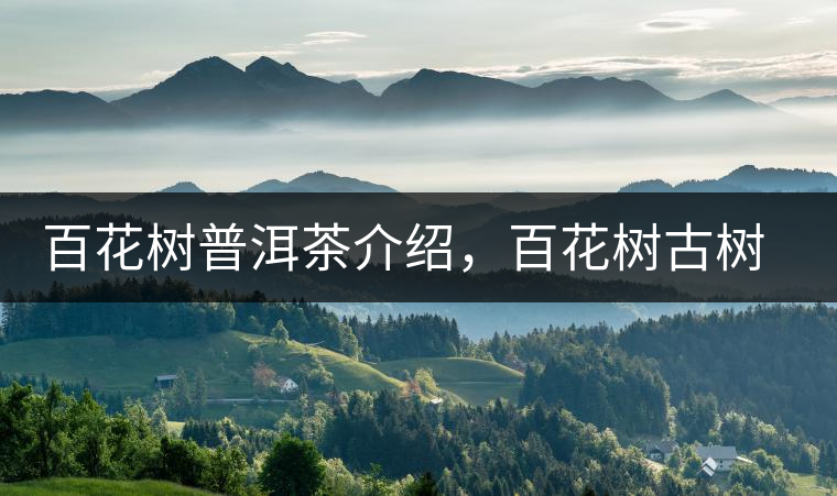 百花樹(shù)普洱茶介紹，百花樹(shù)古樹(shù)茶口感特點(diǎn)