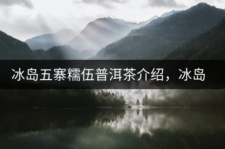 冰島五寨糯伍普洱茶介紹，冰島糯伍古樹茶口感特點(diǎn)