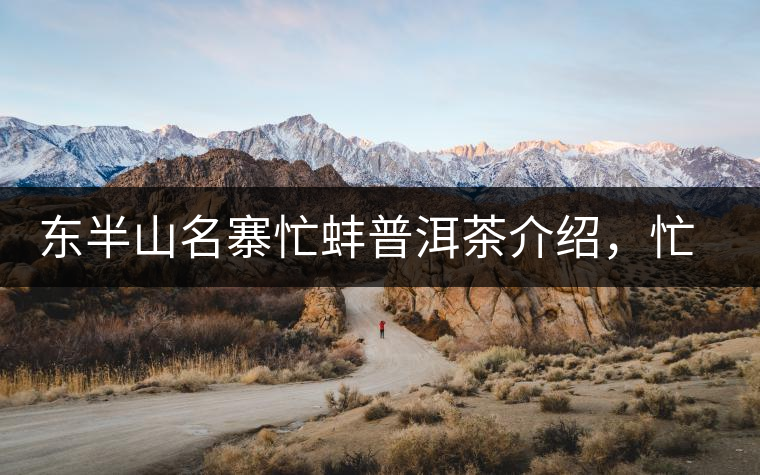 東半山名寨忙蚌普洱茶介紹，忙蚌古樹(shù)茶口感特點(diǎn)