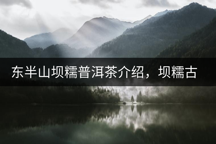 東半山壩糯普洱茶介紹，壩糯古樹(shù)茶口感特點(diǎn)