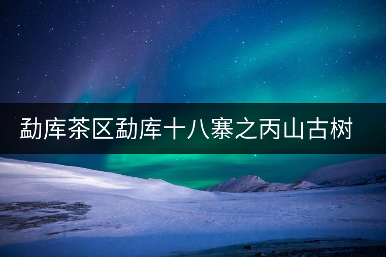 勐庫(kù)茶區(qū)勐庫(kù)十八寨之丙山古樹茶簡(jiǎn)介