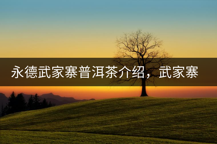 永德武家寨普洱茶介紹，武家寨古樹(shù)茶口感特點(diǎn)