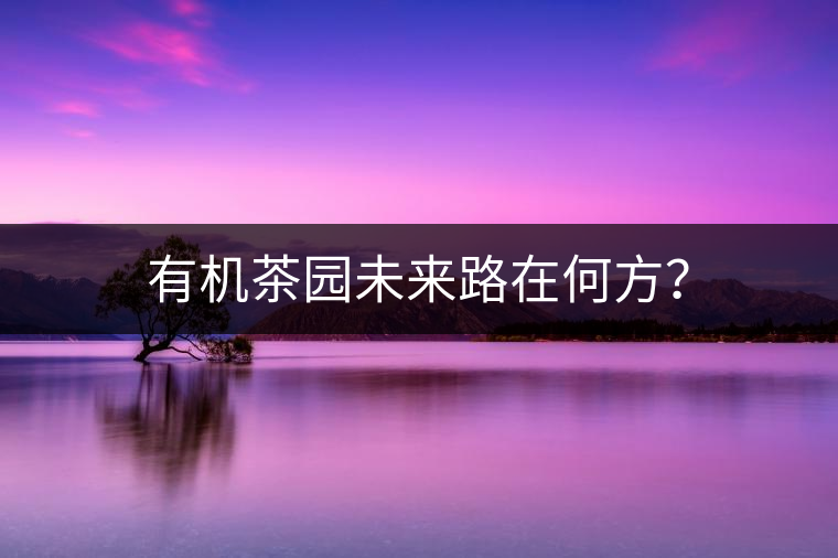 有機茶園未來路在何方？