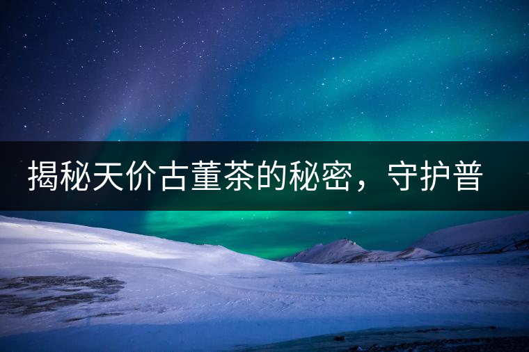 揭秘天價古董茶的秘密，守護普洱茶的健康發(fā)展