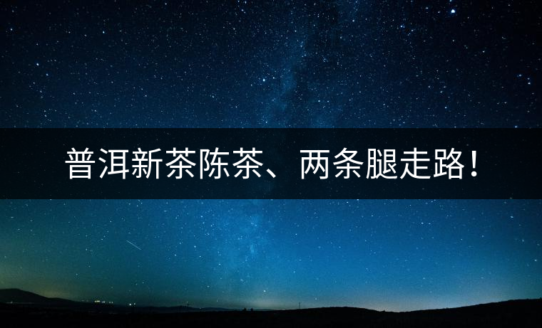 普洱新茶陳茶、兩條腿走路！