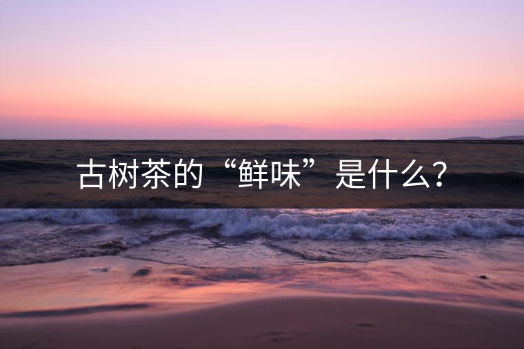古樹茶的“鮮味”是什么？