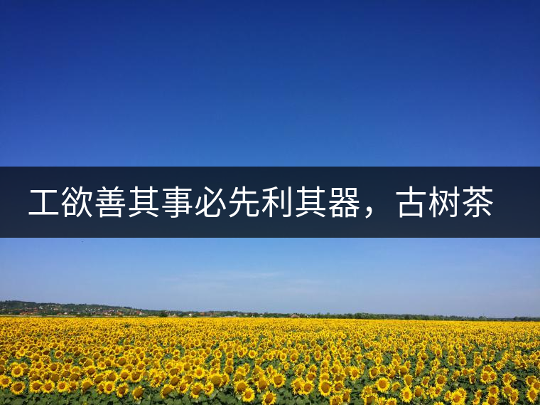 工欲善其事必先利其器，古樹茶用什么茶器最好？