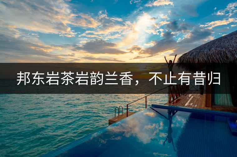 邦東巖茶巖韻蘭香，不止有昔歸